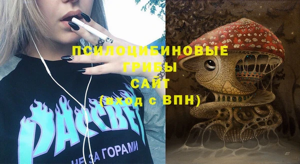 эйфоретик Баксан