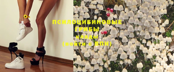эйфоретик Баксан