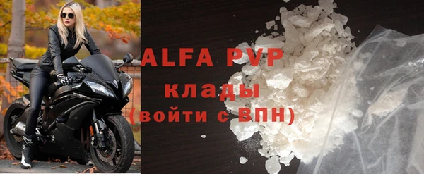 эйфоретик Баксан