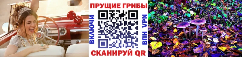 Псилоцибиновые грибы ЛСД  mega онион  Городище 